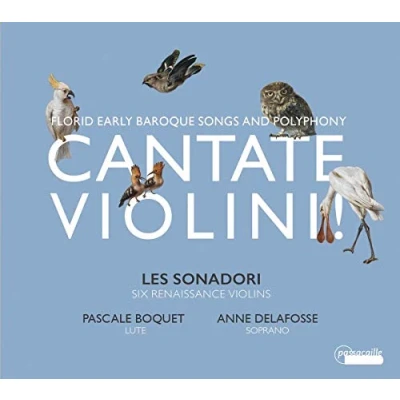 Afbeelding van Les Sonadori &amp; Anne Delafosse Cantate Violini! (CD)