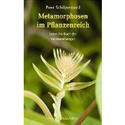Afbeelding van Metamorphosen im Pflanzenreich