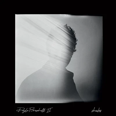 Afbeelding van Shades Hq (LP)