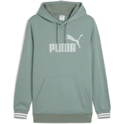Afbeelding van PUMA Sweat à capuche UNITED TR