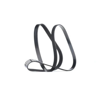 Afbeelding van Poly V riem DAYCO 6PK1606