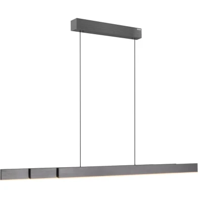 Afbeelding van Paul Neuhaus PURE MOTO RISE Hanglamp Slide &amp; Lift Grey