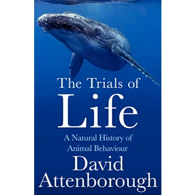 Afbeelding van The Trials of Life