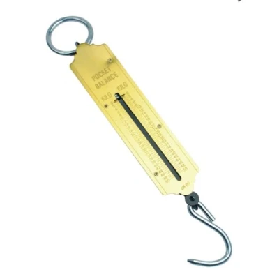 Afbeelding van Mannesmann M 813 100 zakveerweegschaal, kg