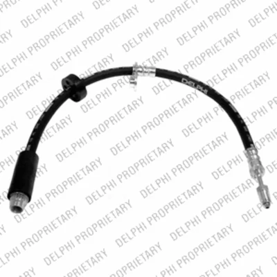 Afbeelding van Delphi Diesel Remslang LH6745