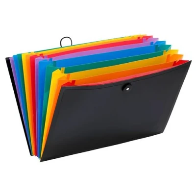 Image de Trieur accordéon 12 positions Format A4 Rainbow Class Viquel Noir