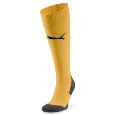 Afbeelding van PUMA Team Liga Stirrup Socks Core Hoek voor heren