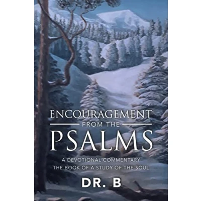 Afbeelding van Encouragement from the Psalms