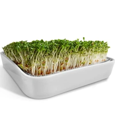 Afbeelding van ZELLGUT® Waterkerszeef, kiembak, 12 cm, keramische kom + roestvrijstalen zeef, kiemapparaat voor het kweken van microgreens, gekiemde zaden