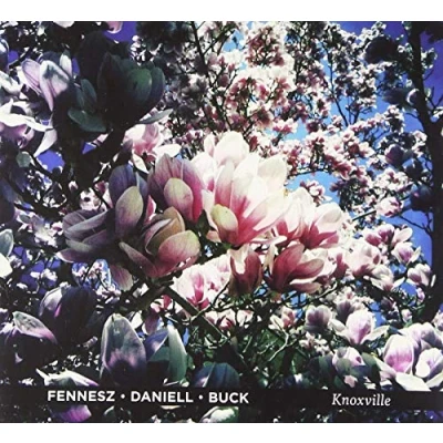 Afbeelding van Fennesz &amp; Daniell Buck Knoxville (CD)
