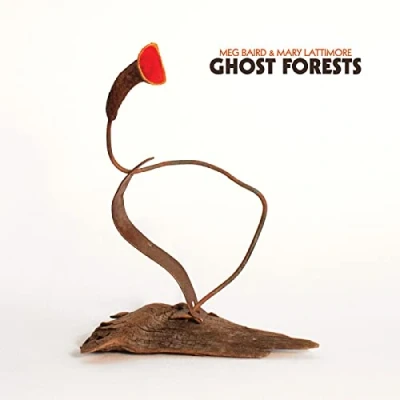 Afbeelding van Meg and Mary Lattimore Baird Ghost Forests (LP)