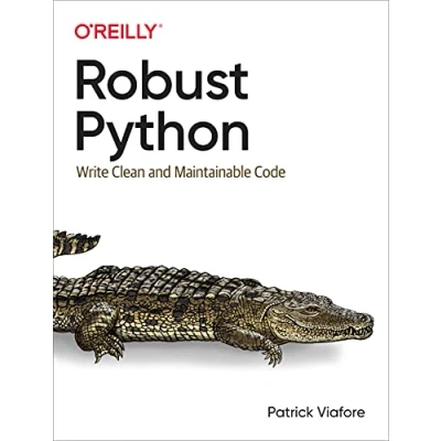 Afbeelding van Robust Python