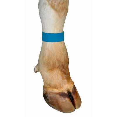 Afbeelding van Enkelband koe met klittenband blauw 10 stuks