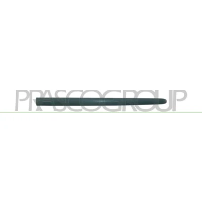 Afbeelding van PRASCO PG0091403 Zierleiste PEUGEOT: 206 SW (2E/K) 1.6 16V, 2.0 1.4 HDi, HDi 110, 1.1, 2002 2007