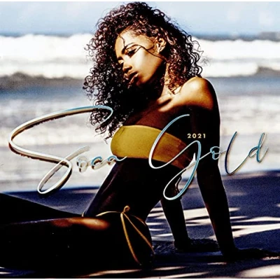 Afbeelding van Various Artists Soca Gold 2021 (2 CD)
