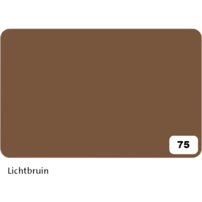 Afbeelding van Fotokarton Folia 2zijdig 50x70cm 300gr nr75 lichtbruin Omdoos a 10 stuk stuks