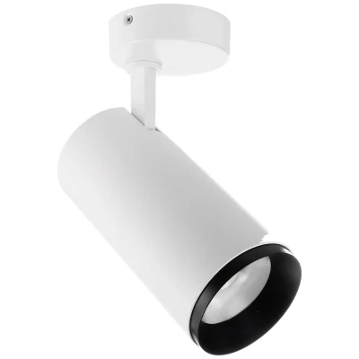 Afbeelding van LED plafondspot Lucea, verstelbaar, 30 W wit