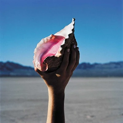 Afbeelding van The Killers Wonderful (CD)