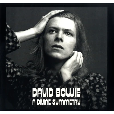 Afbeelding van A Divine Symmetry