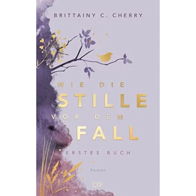 Afbeelding van Wie die Stille vor dem Fall. Erstes Buch: Special Edition
