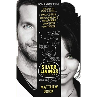 Afbeelding van Silver Linings Playbook film tie in