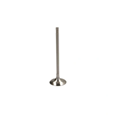 Afbeelding van IPSA VL203900 Inlaatklep BMW: 3 Touring, Coupe