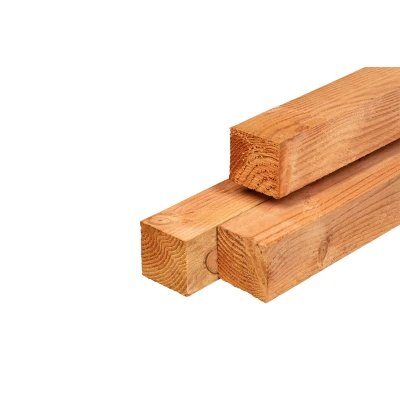 Afbeelding van Lariks/douglas Palen Onbehandeld (Vers Hout) 9,0x9,0x300 cm