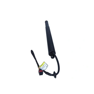 Afbeelding van Gasveer, legbodem (Koffer /Laadruimte) MAXGEAR 12 2550