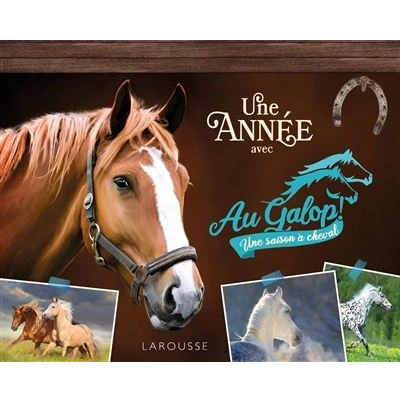 Image de Une année avec AU GALOP