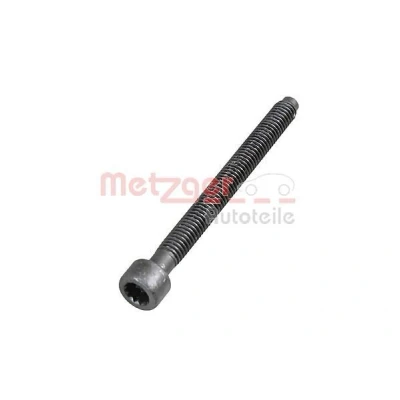 Afbeelding van METZGER 0872003S Schroef, inspuitstukhouder VOLKSWAGEN: Passat B6 Variant, Caddy 3, Touran I, AUDI: A3 Sportback, Hatchback