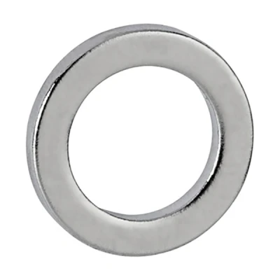 Image de Maul aimant anneau en néodyme 12 mm (10 pièces)