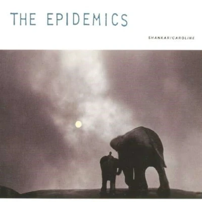 Afbeelding van Epidemics Shankar (LP)