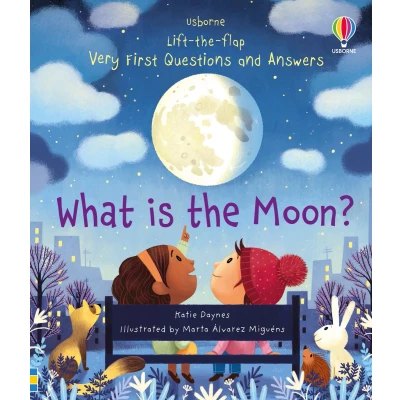 Afbeelding van What is the Moon Very First LifttheFlap Questions Answers 1