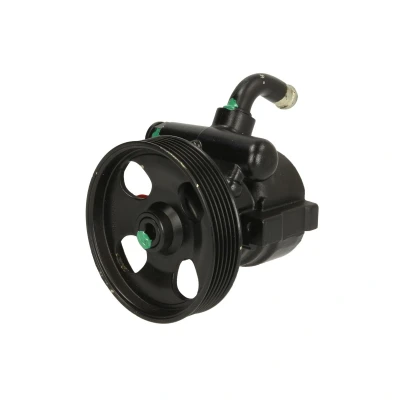 Afbeelding van Lauber Servopomp 55.0362