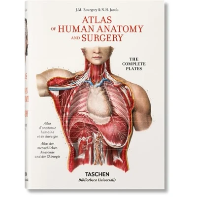 Afbeelding van Bourgery. Atlas of Human Anatomy and Surgery