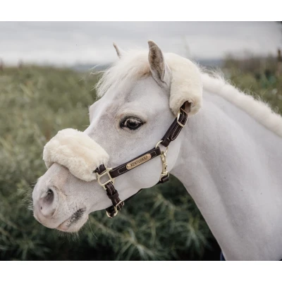 Image de Kentucky Licol en Cuir Leather Sheepskin Poney