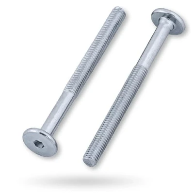 Afbeelding van HEXATON Zeskantige inbusschroeven voor meubels met metrische draad gedeeltelijke schroefdraad M6 x 100 mm stuks