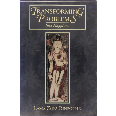 Afbeelding van Transforming Problems into Happiness