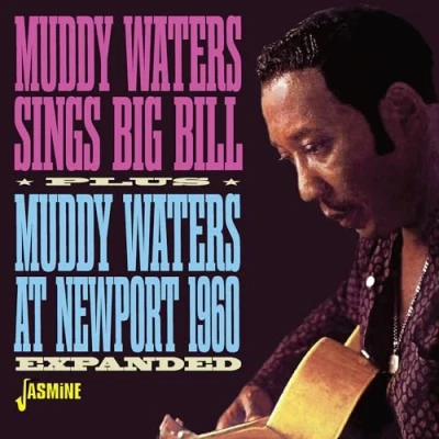 Afbeelding van Sings Big Bill/Muddy Waters at Newport 1960