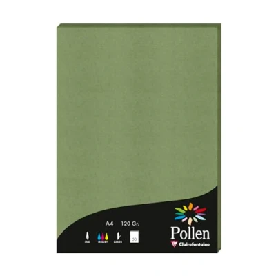 Afbeelding van Clairefontaine 4271C, een doos met 50 vellen, A4 formaat (21 x 297 cm), 120 g/m², kleur: saliegroen, uitnodigingspapier voor evenementen en correspondentie, Pollen serie, premium glad papier