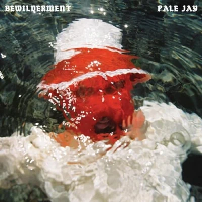 Afbeelding van Pale Jay Bewilderment (LP) (Coloured Vinyl)