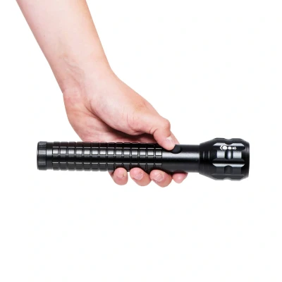 Afbeelding van Maul LED zaklamp MAULkronos M, bereik tot 236 m
