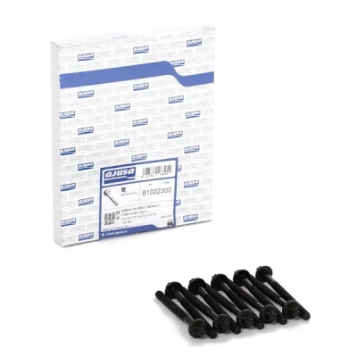 Afbeelding van Cilinderkopbout set AJUSA 81022300