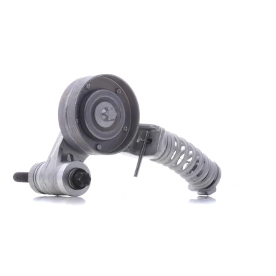 Afbeelding van Skf Spanrol (poly) V riem VKM 35013