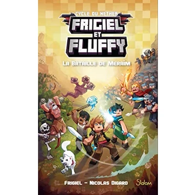 Afbeelding van ISBN 9782375541173, Frans, Paperback, 370 pagina&#039;s