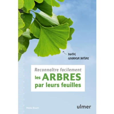 Image de Reconnaître facilement les arbres par leurs feuilles Photos grandeur nature
