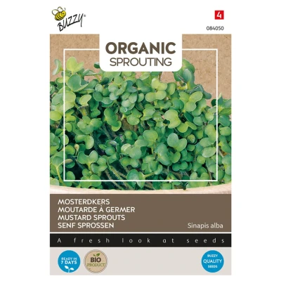 Afbeelding van Buzzy Organic Spruitgroente Mosterdkers (BIO)
