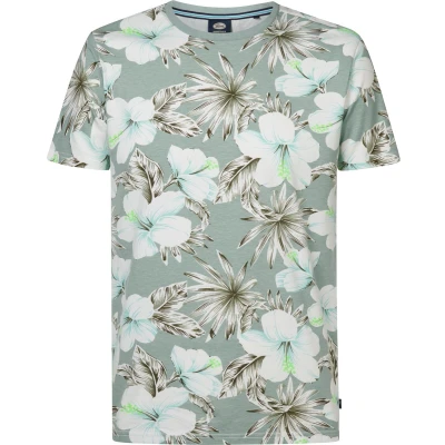 Afbeelding van Petrol Industries Tshirt print, Heren, Maat: XL, Aqua grey