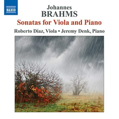 Afbeelding van Roberto Diaz &amp; Jeremy Denk Brahms: Sonatas For Viola And Piano (CD)