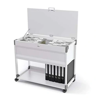 Afbeelding van Hangmappenboy Durable 3787 multi grijs